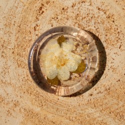 Worry Stone Fleurs séchées - Fleur blanche