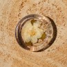 Worry Stone Fleurs séchées - Fleur blanche
