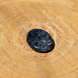 Worry Stone Ovale Amphibolite