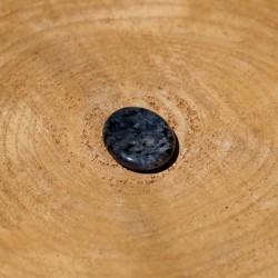 Worry Stone Ovale Amphibolite