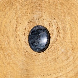 Worry Stone Ovale Amphibolite
