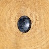 Worry Stone Ovale Amphibolite